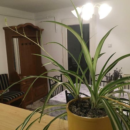 Levendula Apartmanhaz Apartment ชือเมก ภายนอก รูปภาพ