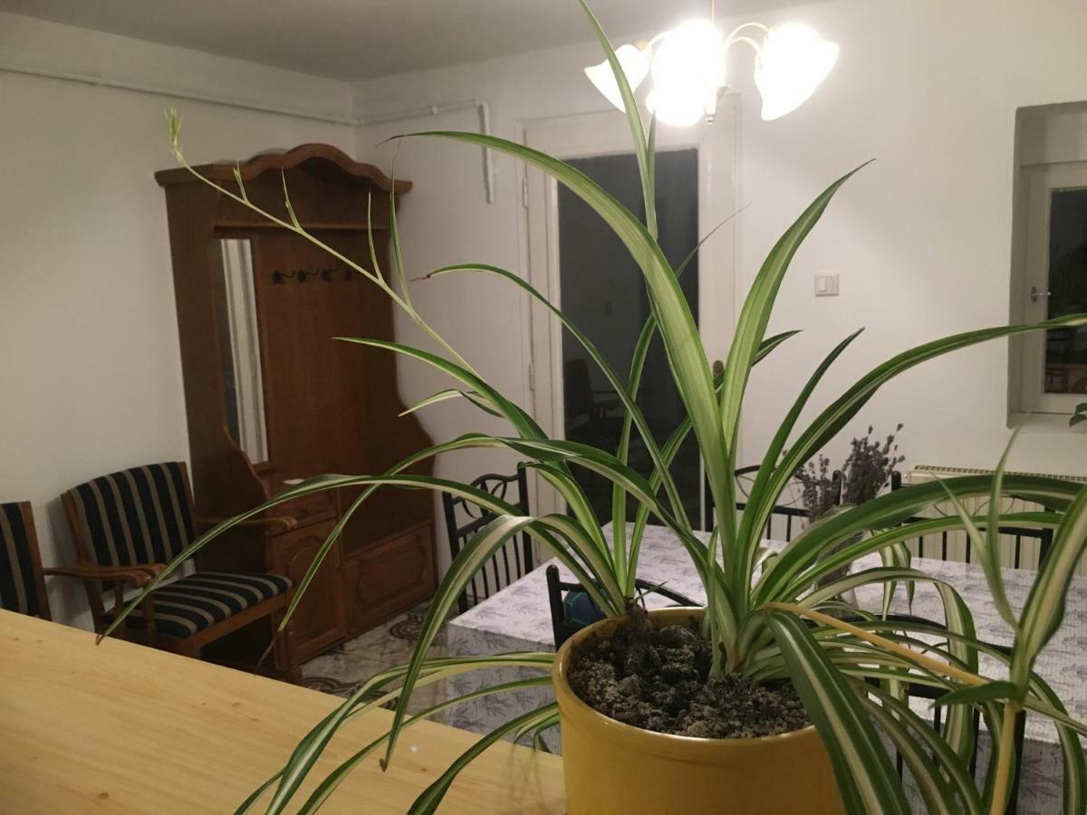 Levendula Apartmanhaz Apartment ชือเมก ภายนอก รูปภาพ